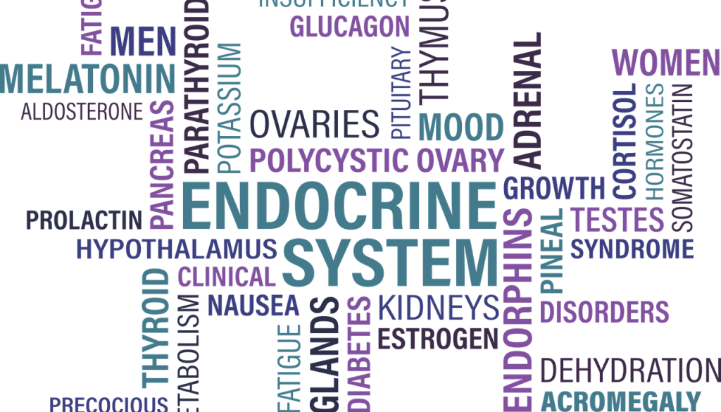 thyroid-1405039_1280