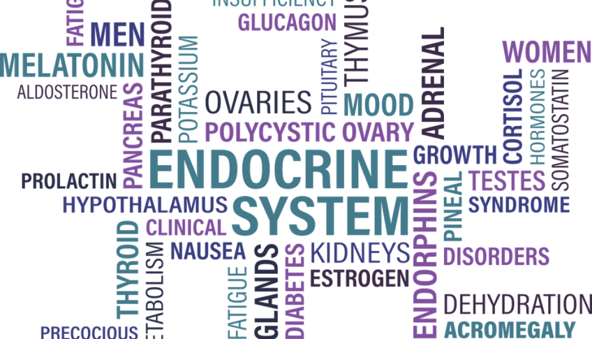 thyroid-1405039_1280